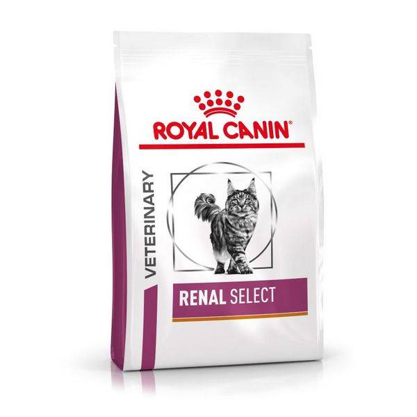 Royal Canin Renal Select רויאל קנין רפואי חתול רנל - 4 ק"ג