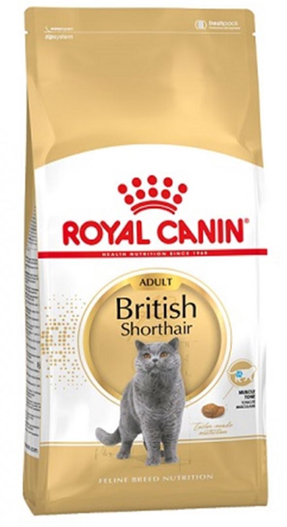 royal canin british shorthair מזון יבש לבריטים קצר - 10ק"ג