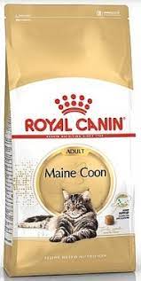 royal canin maine coon  מזון יבש למיינקון - 10 ק"ג