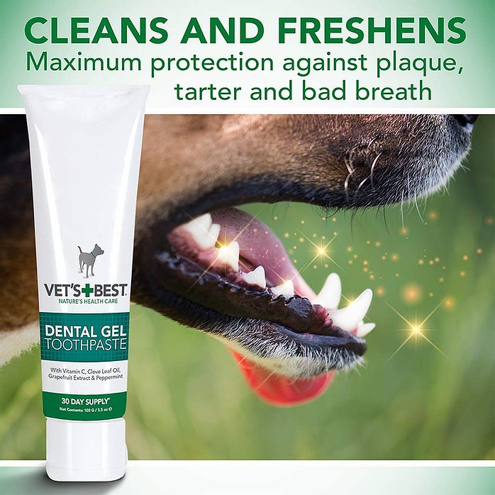 ווטס בסט דנטל ג'ל Vet's Best Dental Gel Toothpaste for Dogs, 100 g